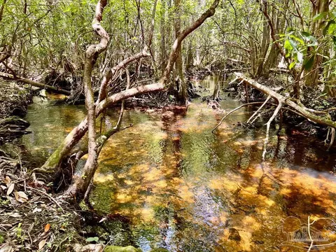 lot96 Turning Leaf Rd, Jay, FL 32565 photo 17