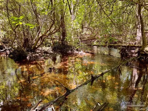 lot96 Turning Leaf Rd, Jay, FL 32565 photo 16