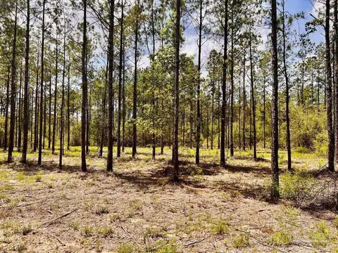 lot96 Turning Leaf Rd, Jay, FL 32565 photo 20