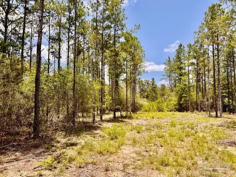 lot96 Turning Leaf Rd, Jay, FL 32565 photo 23