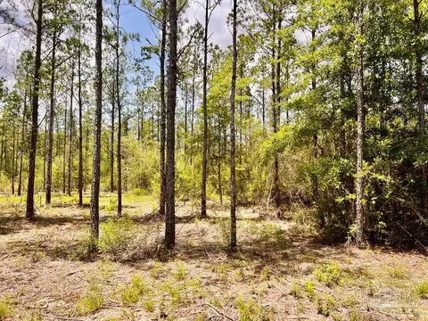 lot96 Turning Leaf Rd, Jay, FL 32565 photo 21