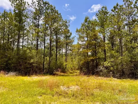 lot96 Turning Leaf Rd, Jay, FL 32565 photo 13