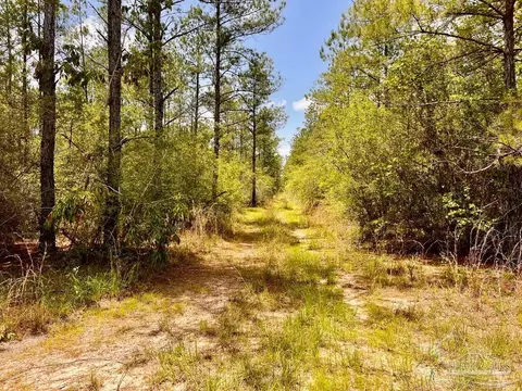 lot96 Turning Leaf Rd, Jay, FL 32565 photo 11