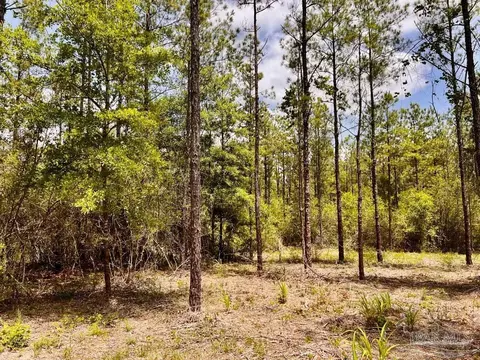 lot96 Turning Leaf Rd, Jay, FL 32565 photo 26