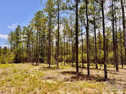 lot96 Turning Leaf Rd, Jay, FL 32565 photo 25