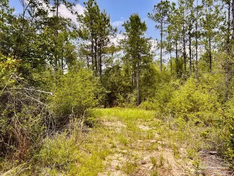 lot96 Turning Leaf Rd, Jay, FL 32565 photo 27