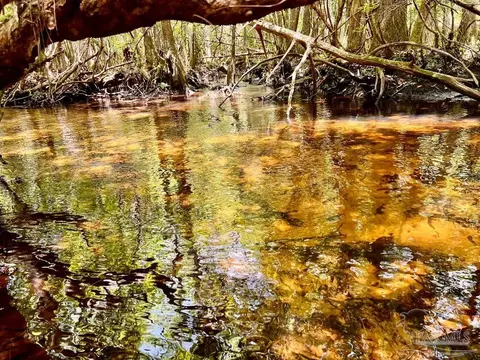 lot96 Turning Leaf Rd, Jay, FL 32565