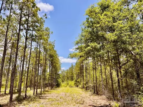 lot96 Turning Leaf Rd, Jay, FL 32565 photo 22