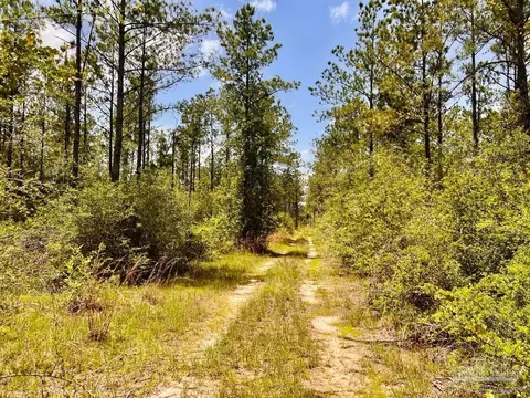 lot96 Turning Leaf Rd, Jay, FL 32565 photo 15