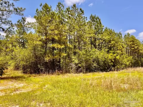 lot96 Turning Leaf Rd, Jay, FL 32565 photo 12