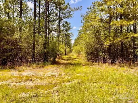 lot96 Turning Leaf Rd, Jay, FL 32565 photo 14