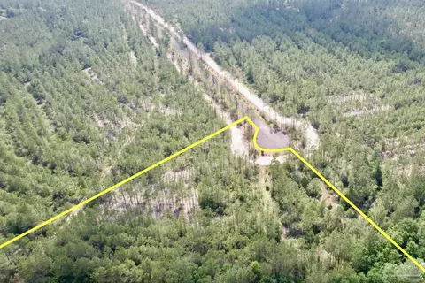 lot96 Turning Leaf Rd, Jay, FL 32565 photo 2