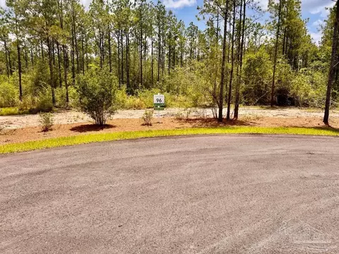 lot96 Turning Leaf Rd, Jay, FL 32565 photo 9