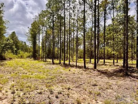 lot96 Turning Leaf Rd, Jay, FL 32565 photo 28