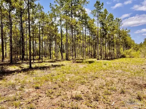 lot98 Turning Leaf Rd, Jay, FL 32565 photo 12