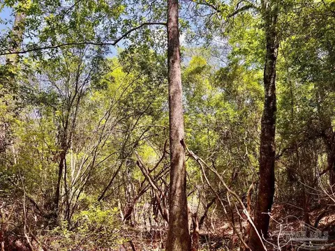 lot98 Turning Leaf Rd, Jay, FL 32565 photo 23