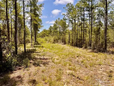 lot98 Turning Leaf Rd, Jay, FL 32565 photo 14