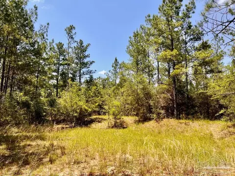 lot98 Turning Leaf Rd, Jay, FL 32565 photo 21