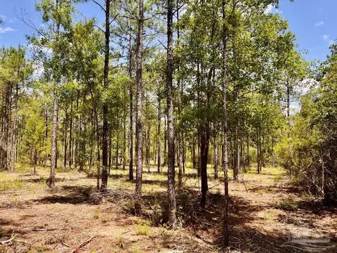 lot98 Turning Leaf Rd, Jay, FL 32565 photo 15