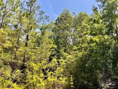 lot98 Turning Leaf Rd, Jay, FL 32565 photo 27