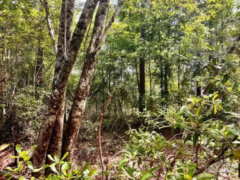 lot98 Turning Leaf Rd, Jay, FL 32565 photo 26