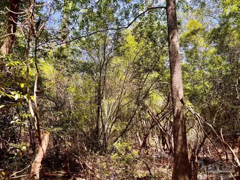 lot98 Turning Leaf Rd, Jay, FL 32565 photo 22