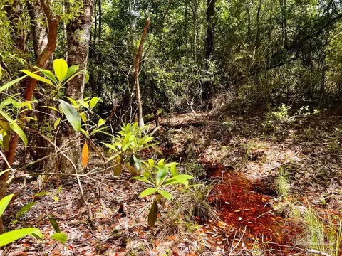 lot98 Turning Leaf Rd, Jay, FL 32565 photo 25