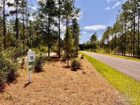 lot98 Turning Leaf Rd, Jay, FL 32565 photo 3
