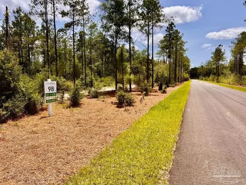 lot98 Turning Leaf Rd, Jay, FL 32565 photo 9