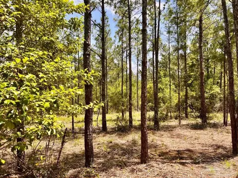 lot98 Turning Leaf Rd, Jay, FL 32565 photo 17