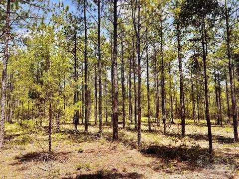 lot98 Turning Leaf Rd, Jay, FL 32565 photo 16