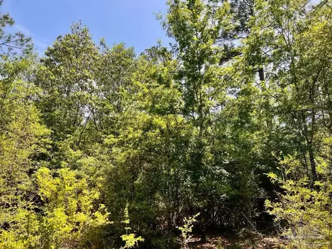 lot98 Turning Leaf Rd, Jay, FL 32565 photo 28