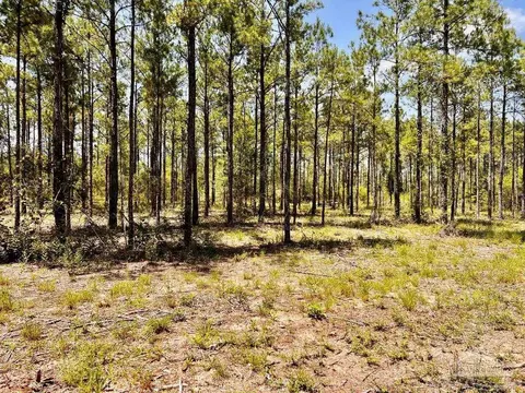 lot98 Turning Leaf Rd, Jay, FL 32565 photo 13
