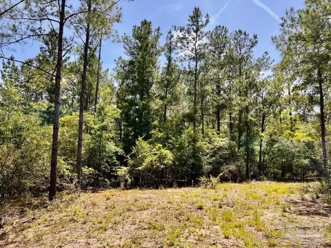 lot98 Turning Leaf Rd, Jay, FL 32565 photo 19