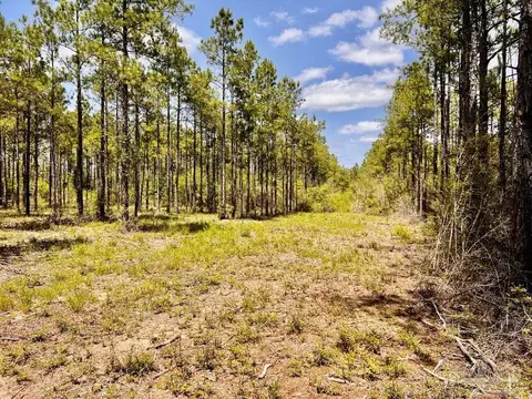 lot98 Turning Leaf Rd, Jay, FL 32565 photo 11