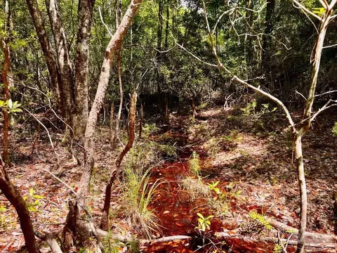 lot98 Turning Leaf Rd, Jay, FL 32565 photo 24