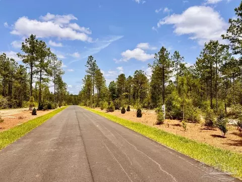 lot98 Turning Leaf Rd, Jay, FL 32565 photo 10