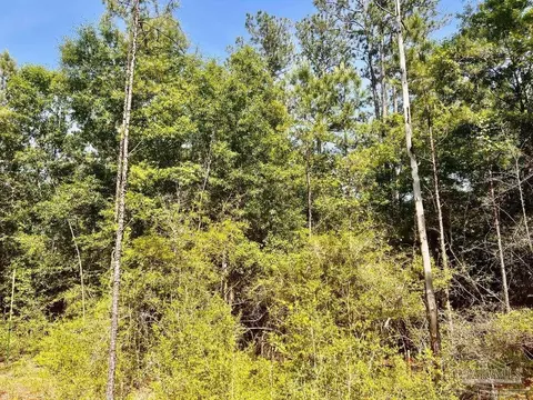 lot99 Turning Leaf Rd, North Pace, FL 32571 photo 21