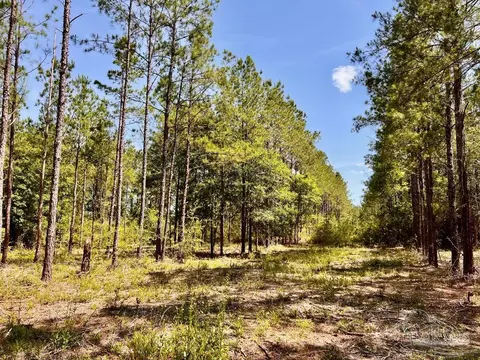 lot99 Turning Leaf Rd, North Pace, FL 32571 photo 12