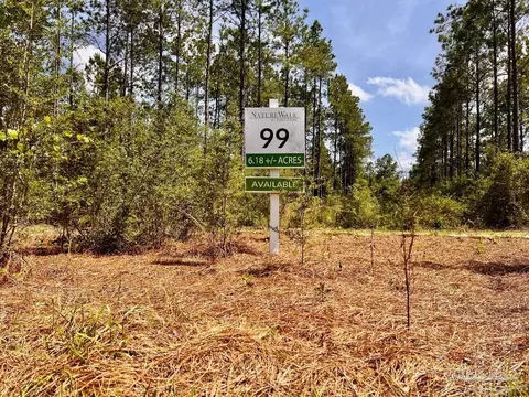 lot99 Turning Leaf Rd, North Pace, FL 32571 photo 8