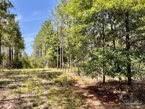 lot99 Turning Leaf Rd, North Pace, FL 32571 photo 16