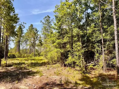 lot99 Turning Leaf Rd, North Pace, FL 32571 photo 18