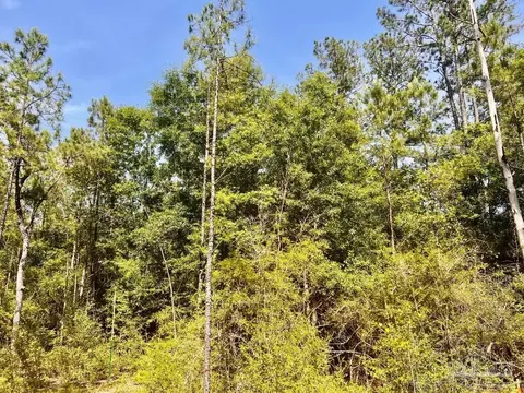 lot99 Turning Leaf Rd, North Pace, FL 32571 photo 22