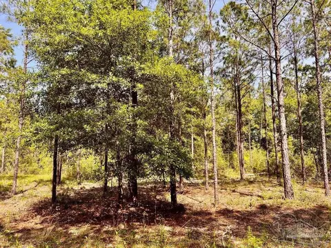 lot99 Turning Leaf Rd, North Pace, FL 32571 photo 15