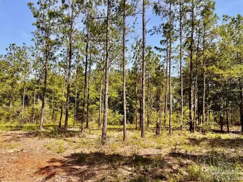 lot99 Turning Leaf Rd, North Pace, FL 32571 photo 11
