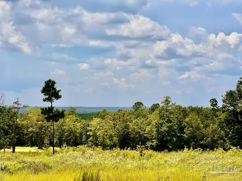lot38 Br Buffalo Ridge Rd, Pace, FL 32571 photo 3