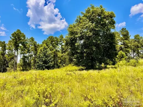 lot38 Br Buffalo Ridge Rd, Pace, FL 32571 photo 14