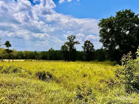 lot38 Br Buffalo Ridge Rd, Pace, FL 32571 photo 10