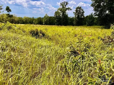 lot38 Br Buffalo Ridge Rd, Pace, FL 32571 photo 11
