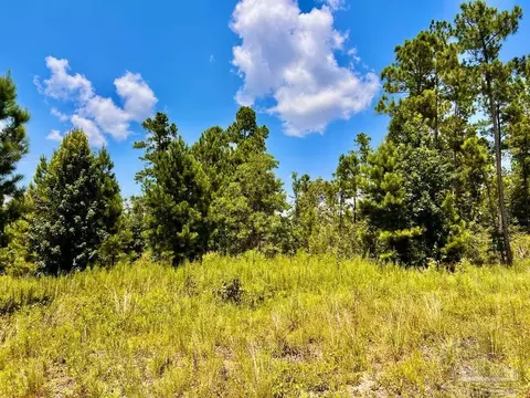 lot38 Br Buffalo Ridge Rd, Pace, FL 32571 photo 18